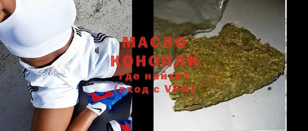 spice Гусев