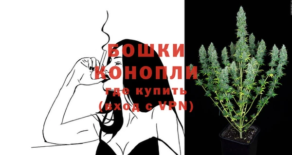 spice Гусев