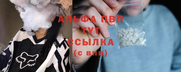 spice Гусев