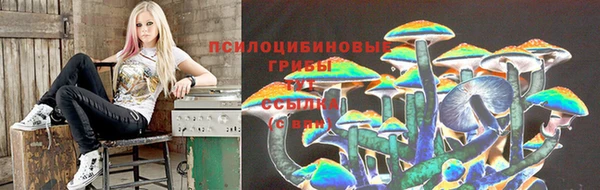 spice Гусев