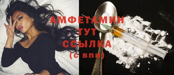 spice Гусев